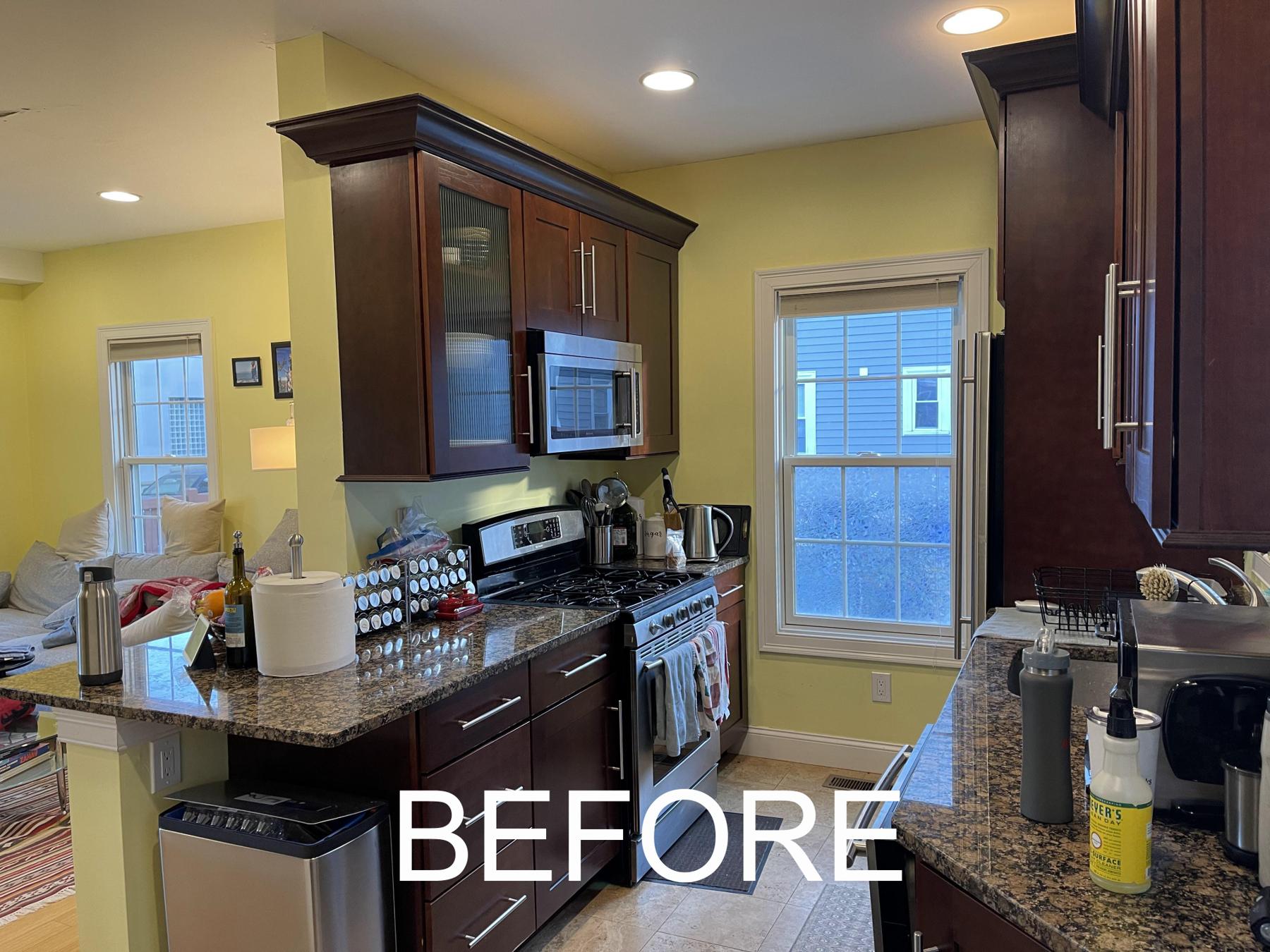 325 Elm Kitchen Remodel in Cambridge, photo 4