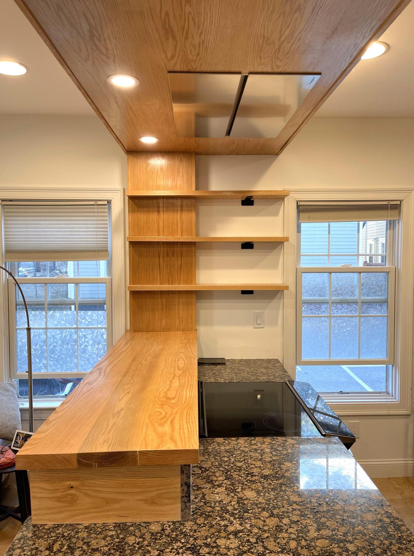 325 Elm Kitchen Remodel in Cambridge, photo 5